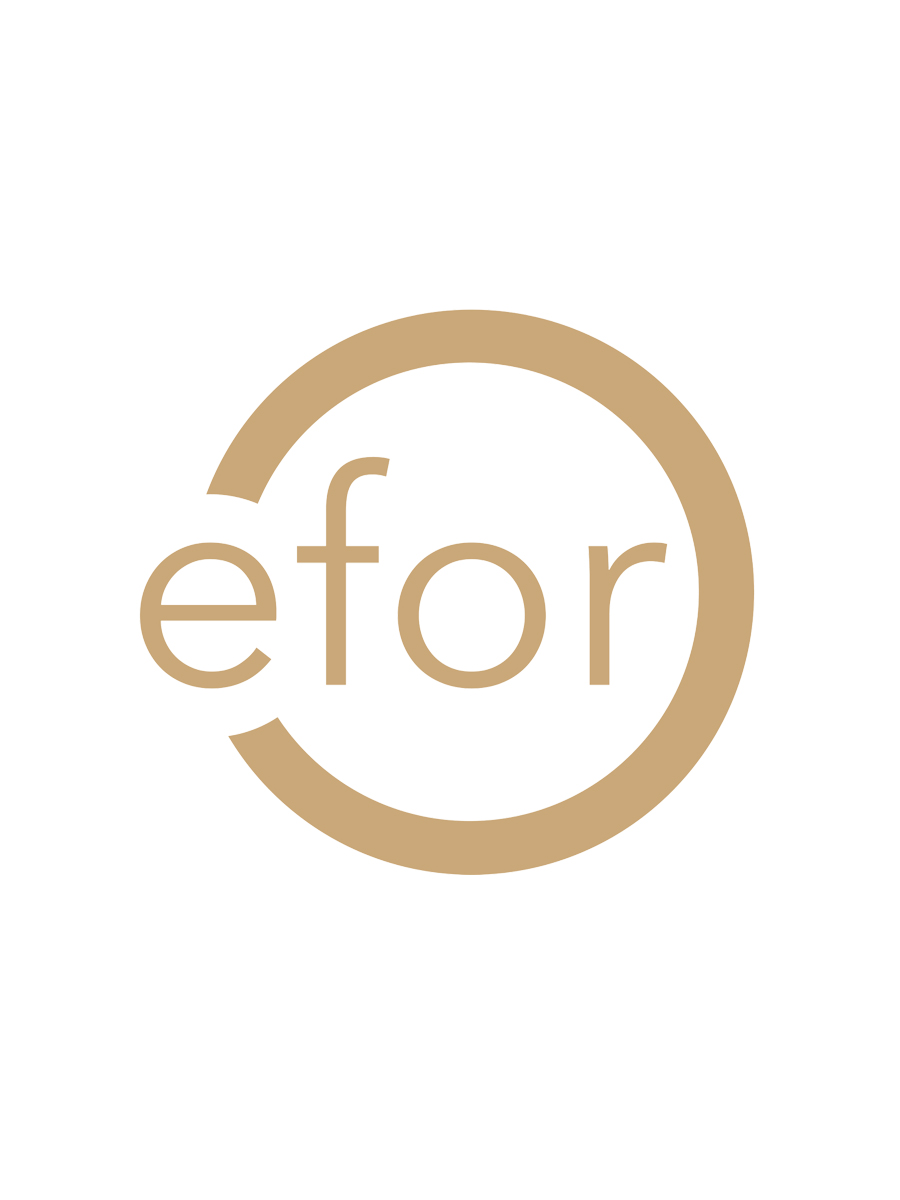 efor logo